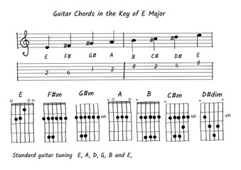Guitar chord in the key of E major, Note and tab vector