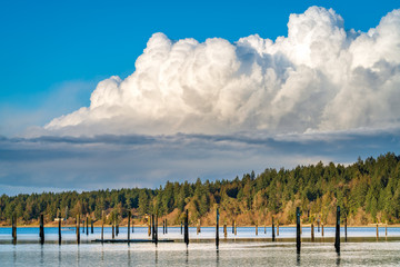 Cumulus clouds Over Puget Sound
