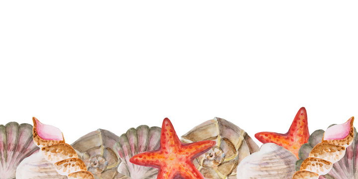 background for your design with border of  hand drawing watercolor seashells and place for text