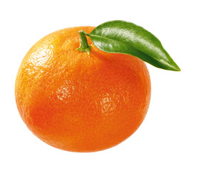Mandarine mit Blatt