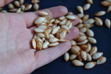 dry pumpkin seeds on the hand in the dark background
