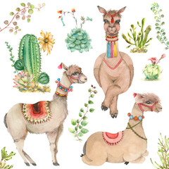 Cartoon watercolor lama © Ivan Feoktistov