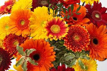 A large bouquet of bright orange flowers (gerberas)