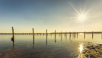 Obraz premium Wooden stick and wire fence on a lake