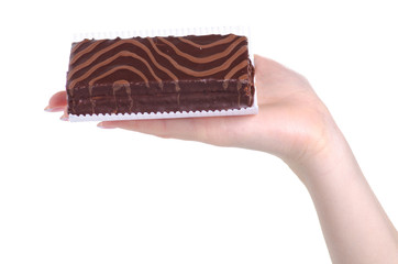 Chocolate cake biscuit in hand on a white background. Isolation