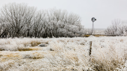 Frosted grass sways in the wind as the bare trees glisten white with the frozen air. A windmill stands still. Western Kansas, February 2019