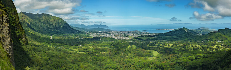 Fototapeta na wymiar Cityscape in Oahu with mountains