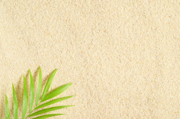 A branch of palm trees on the sand background. Sand texture Place for text. Palm leaves. Sand beach.