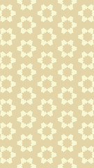 Ornate geometric pattern and two-tone abstract background