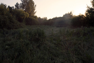 Obraz premium Summer trip to the lake. 