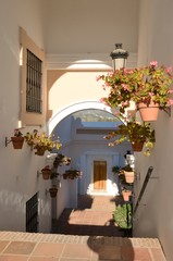 Flowers pots in Mediterranean village, Benahavis Andalusia, Spain