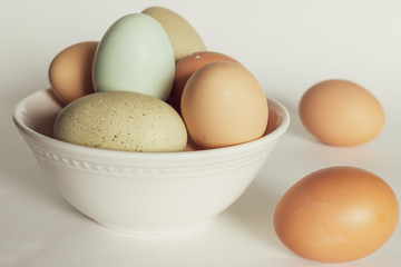 Colorful Fresh Chicken Eggs in a Bowl