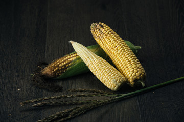 Corn cobs on dark wooden background.