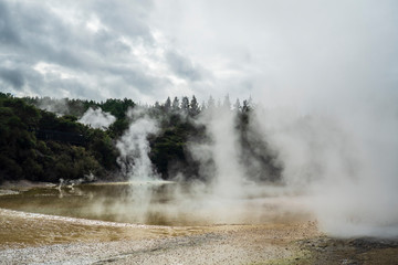 Fototapeta na wymiar Wai-O-Tapu Thermal Wonderland near Rotorua, New Zealand 4