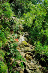 Fototapeta na wymiar selarong waterfall in bantul, yogyakarta