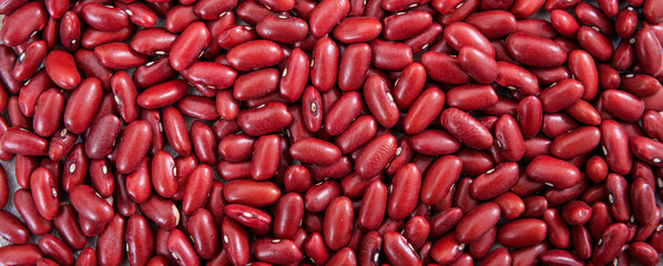 Red dry kidney beans uncooked full background, banner, top view