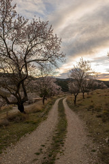The town of Morella on top of the mountain