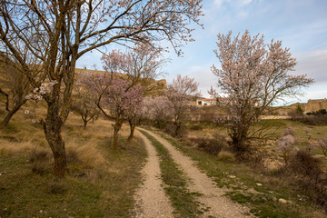 The town of Morella on top of the mountain