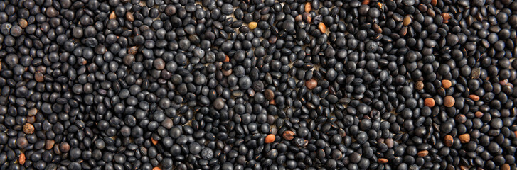 Black lentils uncooked full background, banner, top view