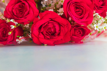 blur Red roses background to write text greeting card