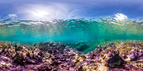 Fototapeta na wymiar 360 underwater photo of a coral reef in Palmyra Atoll in the Pacific Ocean 