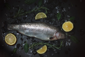 Raw salmon on a black background with ice, lemon and herbs around