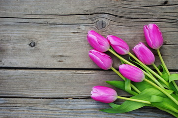 beautiful fresh pink tulips on wooden vintage background 