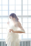 Bride in a wedding dress