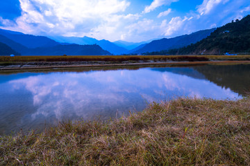 RICE FIELD