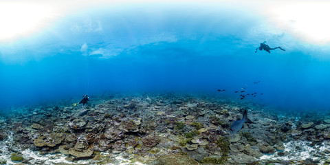 Fototapeta na wymiar 360 of divers over healthy reefscape