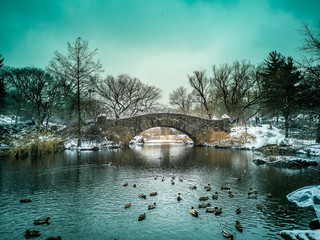 Fototapeta premium Gapstow Bridge In Central Park, New York City