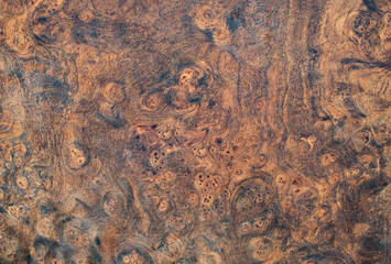 Real burl wood striped for Picture prints interior decoration, Exotic wooden beautiful pattern for crafts or abstract art texture background