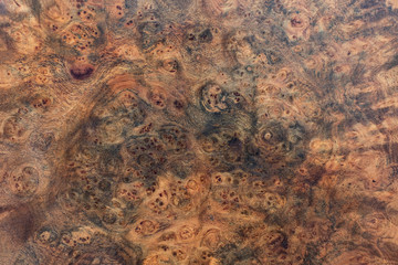 Real burl wood striped for Picture prints interior decoration, Exotic wooden beautiful pattern for crafts or abstract art texture background