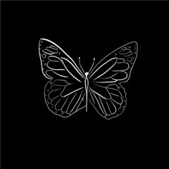 beautiful butterfly one line draw vector illustration