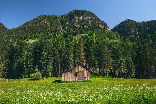 34,864 BEST Barns And Cabins IMAGES, STOCK PHOTOS & VECTORS | Adobe Stock