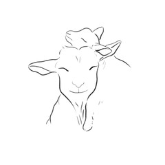 elegant goats one line draw vector illustration