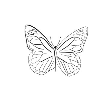 beautiful butterfly with flowers one line draw vector illustration