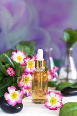 Fototapeta na wymiar Organic cosmetics, natural oil, handmade with herbal and primrose flower extracts in glass bottles