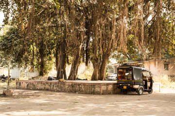 Indian Rickshaw standing at Cement Public Bench Surrounded Big tree