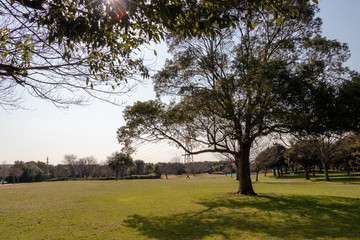 Scene of Fukuei Sports Plaza, Ichikawa City, Chiba Prefecture, Japan