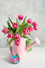 Decorative watering can with pink tulips. Gardening concept.