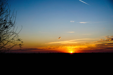 Vivid sunset,blue sky