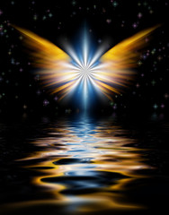 Naklejka premium Angel's Wings Star