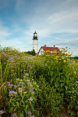 Fototapeta na wymiar Wildflowers in Front of Maine Lighthouse