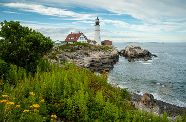 Fototapeta na wymiar Summertime Wildflowers by Oldest Lighthouse in Maine