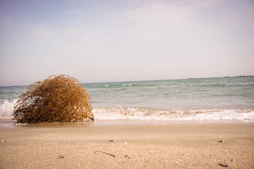 Black Sea Shore at spring, blue waters