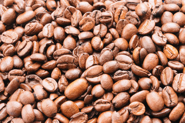 Coffee Beans Background