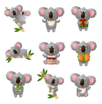 Cartoon koala set in different pose isolated on white background