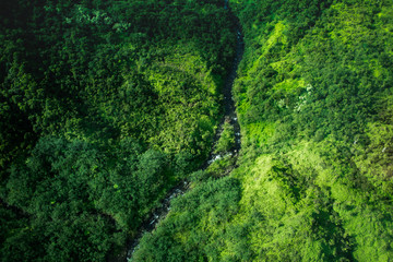 beautiful nature landscape in Kauai island Hawaii. View from helicopter,plane,top. Forest. Mountains. Ocean. View . Drone