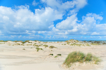 Landscape Dunes in front of empty beach
